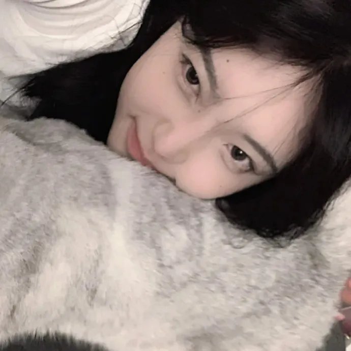 隔壁的吸血鬼美眉海报